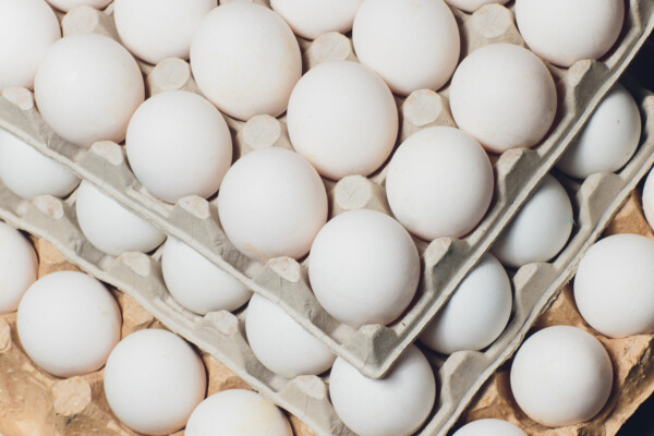 Several white eggs in an egg carton. free weekly eggs at valley fresh foods