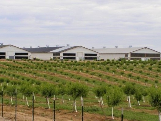 Valley Fresh Foods egg farms